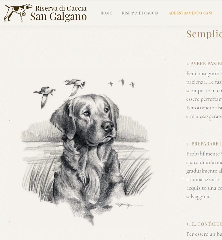 Riserva di Caccia, Chiusdino (SI)