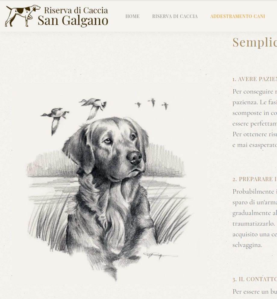 Realizzazione sito web azienda